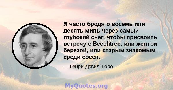 Я часто бродя о восемь или десять миль через самый глубокий снег, чтобы присвоить встречу с Beechtree, или желтой березой, или старым знакомым среди сосен.