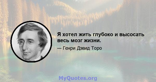 Я хотел жить глубоко и высосать весь мозг жизни.