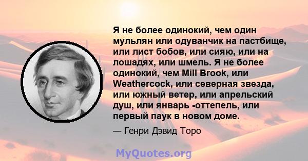 Я не более одинокий, чем один мульлян или одуванчик на пастбище, или лист бобов, или сияю, или на лошадях, или шмель. Я не более одинокий, чем Mill Brook, или Weathercock, или северная звезда, или южный ветер, или