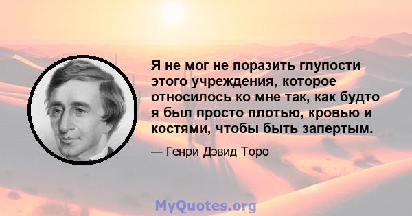 Я не мог не поразить глупости этого учреждения, которое относилось ко мне так, как будто я был просто плотью, кровью и костями, чтобы быть запертым.