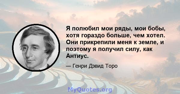 Я полюбил мои ряды, мои бобы, хотя гораздо больше, чем хотел. Они прикрепили меня к земле, и поэтому я получил силу, как Антиус.