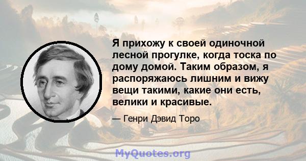 Я прихожу к своей одиночной лесной прогулке, когда тоска по дому домой. Таким образом, я распоряжаюсь лишним и вижу вещи такими, какие они есть, велики и красивые.