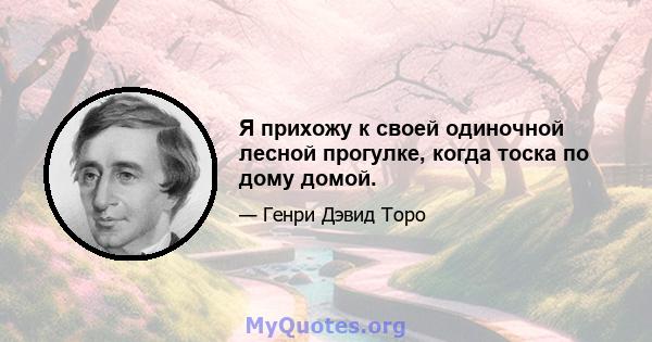 Я прихожу к своей одиночной лесной прогулке, когда тоска по дому домой.