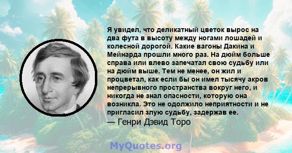 Я увидел, что деликатный цветок вырос на два фута в высоту между ногами лошадей и колесной дорогой. Какие вагоны Дакина и Мейнарда прошли много раз. На дюйм больше справа или влево запечатал свою судьбу или на дюйм