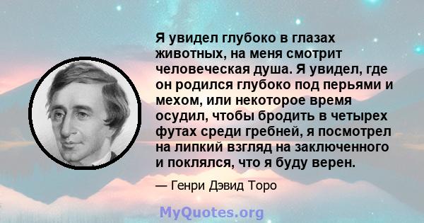 Я увидел глубоко в глазах животных, на меня смотрит человеческая душа. Я увидел, где он родился глубоко под перьями и мехом, или некоторое время осудил, чтобы бродить в четырех футах среди гребней, я посмотрел на липкий 