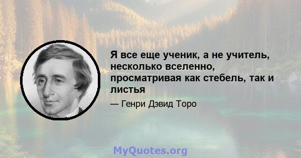 Я все еще ученик, а не учитель, несколько вселенно, просматривая как стебель, так и листья