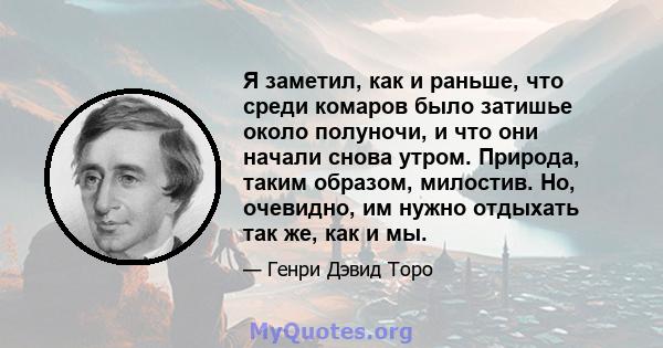 Я заметил, как и раньше, что среди комаров было затишье около полуночи, и что они начали снова утром. Природа, таким образом, милостив. Но, очевидно, им нужно отдыхать так же, как и мы.