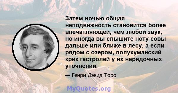 Затем ночью общая неподвижность становится более впечатляющей, чем любой звук, но иногда вы слышите ноту совы дальше или ближе в лесу, а если рядом с озером, полухуманский крик гастролей у их нерядочных уточнений.