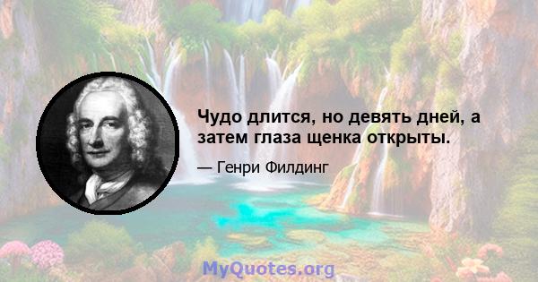 Чудо длится, но девять дней, а затем глаза щенка открыты.