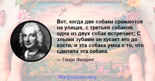 Вот, когда две собаки сражаются на улицах, с третьей собакой, одна из двух собак встречает; С злыми зубами он кусает его до кости, и эта собака умна с то, что сделала эта собака.