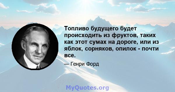 Топливо будущего будет происходить из фруктов, таких как этот сумах на дороге, или из яблок, сорняков, опилок - почти все.