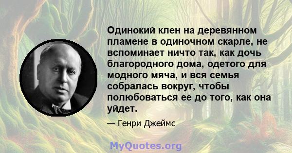 Одинокий клен на деревянном пламене в одиночном скарле, не вспоминает ничто так, как дочь благородного дома, одетого для модного мяча, и вся семья собралась вокруг, чтобы полюбоваться ее до того, как она уйдет.