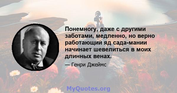 Понемногу, даже с другими заботами, медленно, но верно работающий яд сада-мании начинает шевелиться в моих длинных венах.