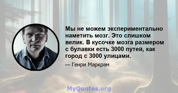 Мы не можем экспериментально наметить мозг. Это слишком велик. В кусочке мозга размером с булавки есть 3000 путей, как город с 3000 улицами.