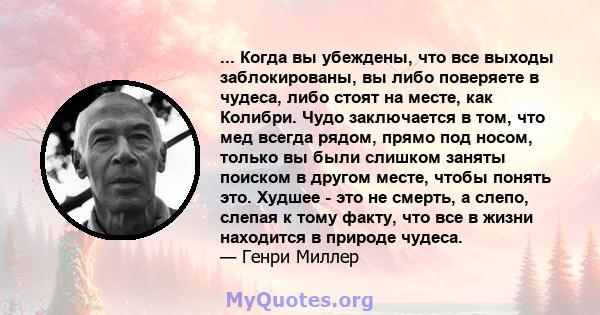 ... Когда вы убеждены, что все выходы заблокированы, вы либо поверяете в чудеса, либо стоят на месте, как Колибри. Чудо заключается в том, что мед всегда рядом, прямо под носом, только вы были слишком заняты поиском в