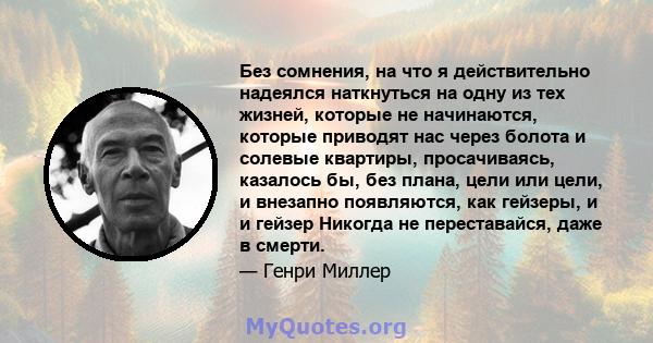 Без сомнения, на что я действительно надеялся наткнуться на одну из тех жизней, которые не начинаются, которые приводят нас через болота и солевые квартиры, просачиваясь, казалось бы, без плана, цели или цели, и