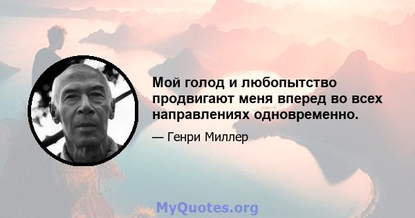 Мой голод и любопытство продвигают меня вперед во всех направлениях одновременно.