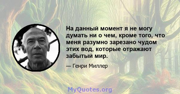 На данный момент я не могу думать ни о чем, кроме того, что меня разумно зарезано чудом этих вод, которые отражают забытый мир.