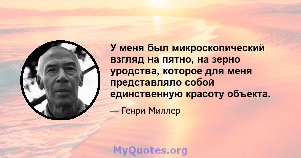 У меня был микроскопический взгляд на пятно, на зерно уродства, которое для меня представляло собой единственную красоту объекта.