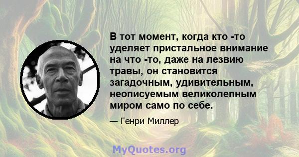 В тот момент, когда кто -то уделяет пристальное внимание на что -то, даже на лезвию травы, он становится загадочным, удивительным, неописуемым великолепным миром само по себе.