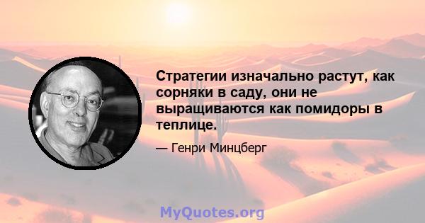 Стратегии изначально растут, как сорняки в саду, они не выращиваются как помидоры в теплице.