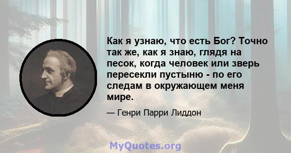 Как я узнаю, что есть Бог? Точно так же, как я знаю, глядя на песок, когда человек или зверь пересекли пустыню - по его следам в окружающем меня мире.