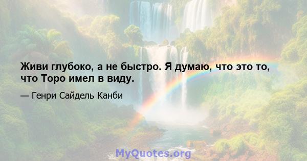 Живи глубоко, а не быстро. Я думаю, что это то, что Торо имел в виду.