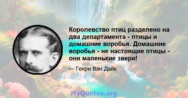 Королевство птиц разделено на два департамента - птицы и домашние воробья. Домашние воробья - не настоящие птицы - они маленькие звери!