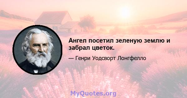 Ангел посетил зеленую землю и забрал цветок.