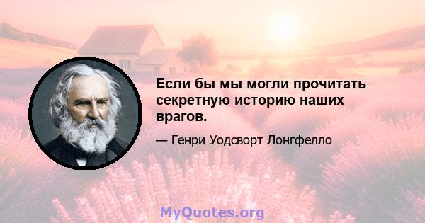 Если бы мы могли прочитать секретную историю наших врагов.