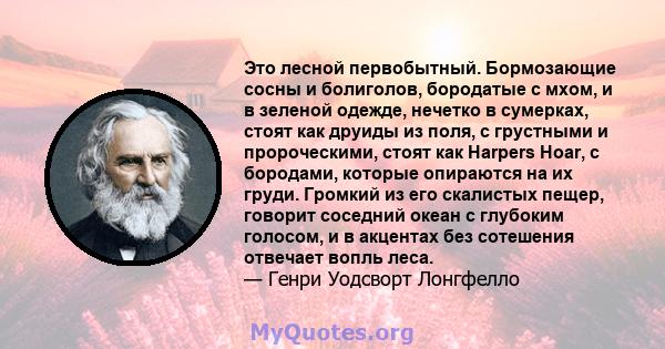 Это лесной первобытный. Бормозающие сосны и болиголов, бородатые с мхом, и в зеленой одежде, нечетко в сумерках, стоят как друиды из поля, с грустными и пророческими, стоят как Harpers Hoar, с бородами, которые