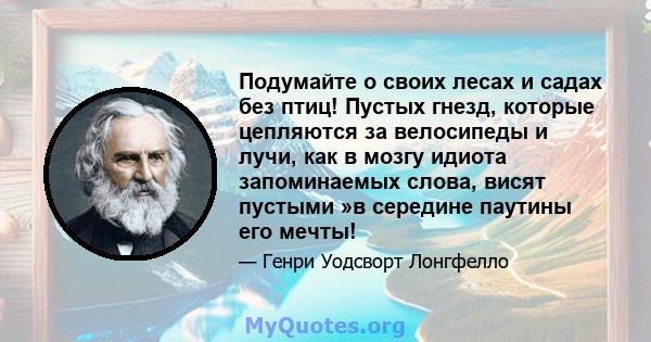 Подумайте о своих лесах и садах без птиц! Пустых гнезд, которые цепляются за велосипеды и лучи, как в мозгу идиота запоминаемых слова, висят пустыми »в середине паутины его мечты!