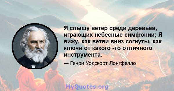 Я слышу ветер среди деревьев, играющих небесные симфонии; Я вижу, как ветви вниз согнуты, как ключи от какого -то отличного инструмента.