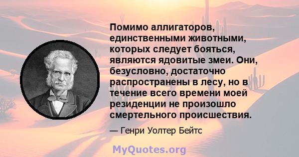 Помимо аллигаторов, единственными животными, которых следует бояться, являются ядовитые змеи. Они, безусловно, достаточно распространены в лесу, но в течение всего времени моей резиденции не произошло смертельного