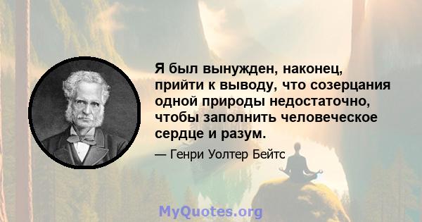 Я был вынужден, наконец, прийти к выводу, что созерцания одной природы недостаточно, чтобы заполнить человеческое сердце и разум.