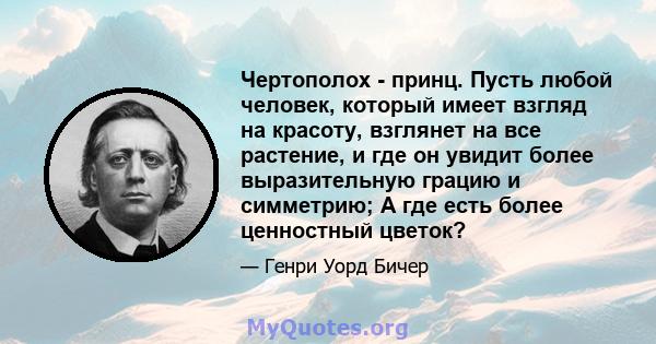 Чертополох - принц. Пусть любой человек, который имеет взгляд на красоту, взглянет на все растение, и где он увидит более выразительную грацию и симметрию; А где есть более ценностный цветок?