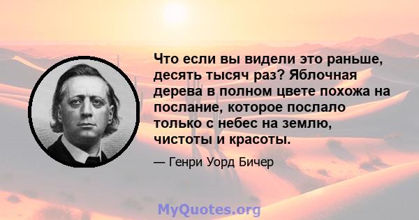 Что если вы видели это раньше, десять тысяч раз? Яблочная дерева в полном цвете похожа на послание, которое послало только с небес на землю, чистоты и красоты.