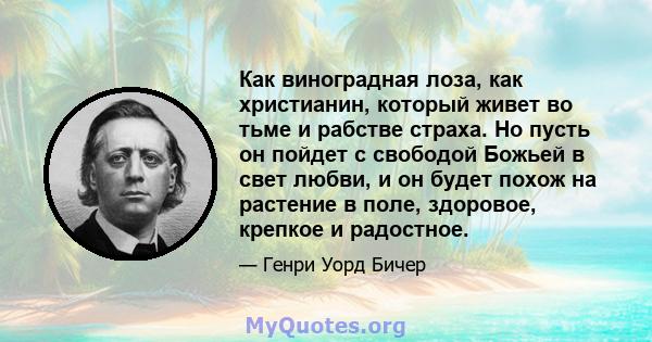 Как виноградная лоза, как христианин, который живет во тьме и рабстве страха. Но пусть он пойдет с свободой Божьей в свет любви, и он будет похож на растение в поле, здоровое, крепкое и радостное.