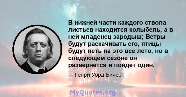 В нижней части каждого ствола листьев находится колыбель, а в ней младенец зародыш; Ветры будут раскачивать его, птицы будут петь на это все лето, но в следующем сезоне он развернется и пойдет один.