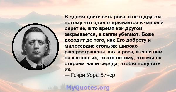 В одном цвете есть роса, а не в другом, потому что один открывается в чашке и берет ее, в то время как другой закрывается, а капли убегают. Боже доходит до того, как Его доброту и милосердие столь же широко