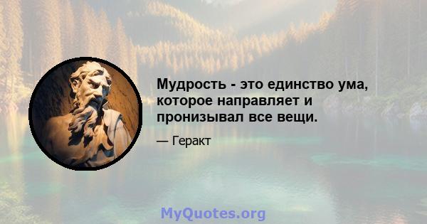 Мудрость - это единство ума, которое направляет и пронизывал все вещи.