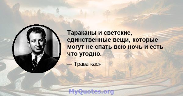 Тараканы и светские, единственные вещи, которые могут не спать всю ночь и есть что угодно.