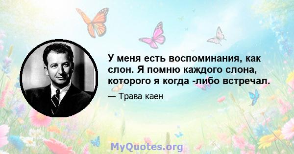 У меня есть воспоминания, как слон. Я помню каждого слона, которого я когда -либо встречал.