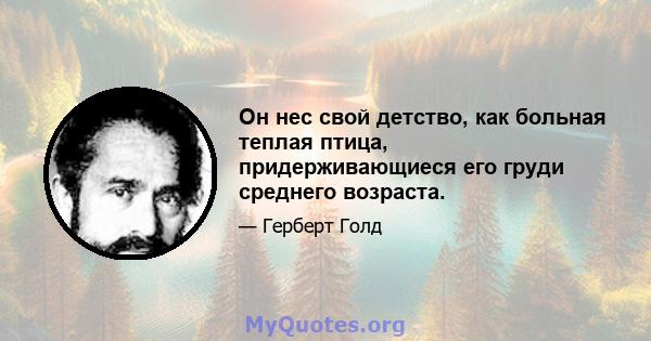 Он нес свой детство, как больная теплая птица, придерживающиеся его груди среднего возраста.