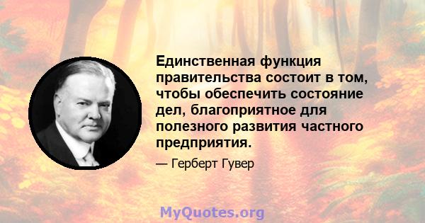 Единственная функция правительства состоит в том, чтобы обеспечить состояние дел, благоприятное для полезного развития частного предприятия.