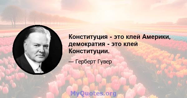 Конституция - это клей Америки, демократия - это клей Конституции.