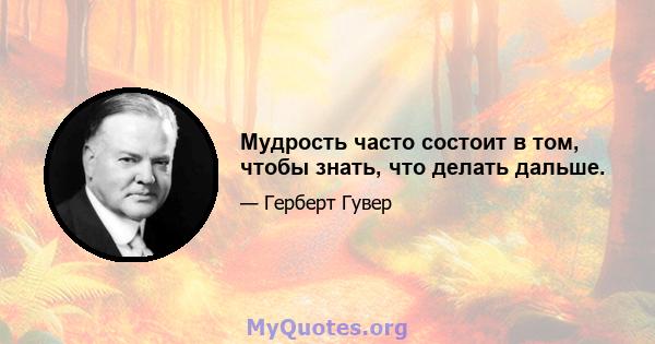 Мудрость часто состоит в том, чтобы знать, что делать дальше.