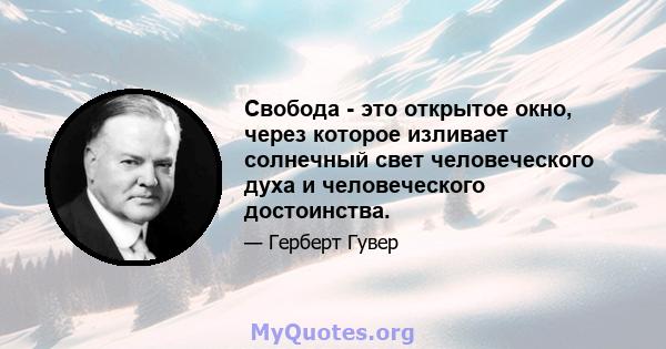 Свобода - это открытое окно, через которое изливает солнечный свет человеческого духа и человеческого достоинства.