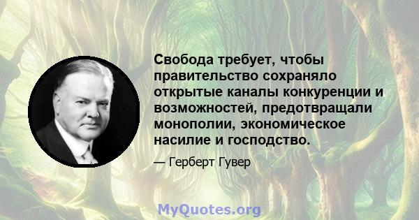 Свобода требует, чтобы правительство сохраняло открытые каналы конкуренции и возможностей, предотвращали монополии, экономическое насилие и господство.