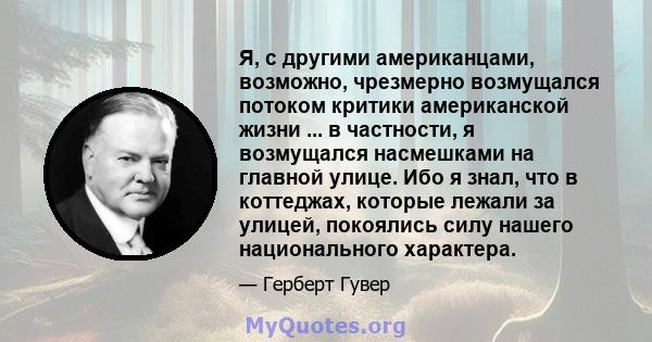 Я, с другими американцами, возможно, чрезмерно возмущался потоком критики американской жизни ... в частности, я возмущался насмешками на главной улице. Ибо я знал, что в коттеджах, которые лежали за улицей, покоялись